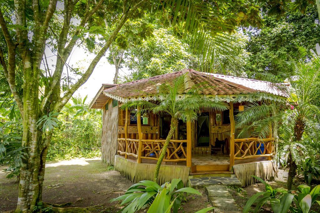 Hotel La Costa De Papito Puerto Viejo de Talamanca Pokoj fotografie
