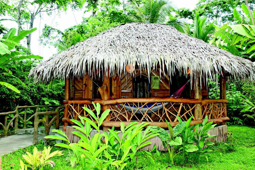 Hotel La Costa De Papito Puerto Viejo de Talamanca Exteriér fotografie
