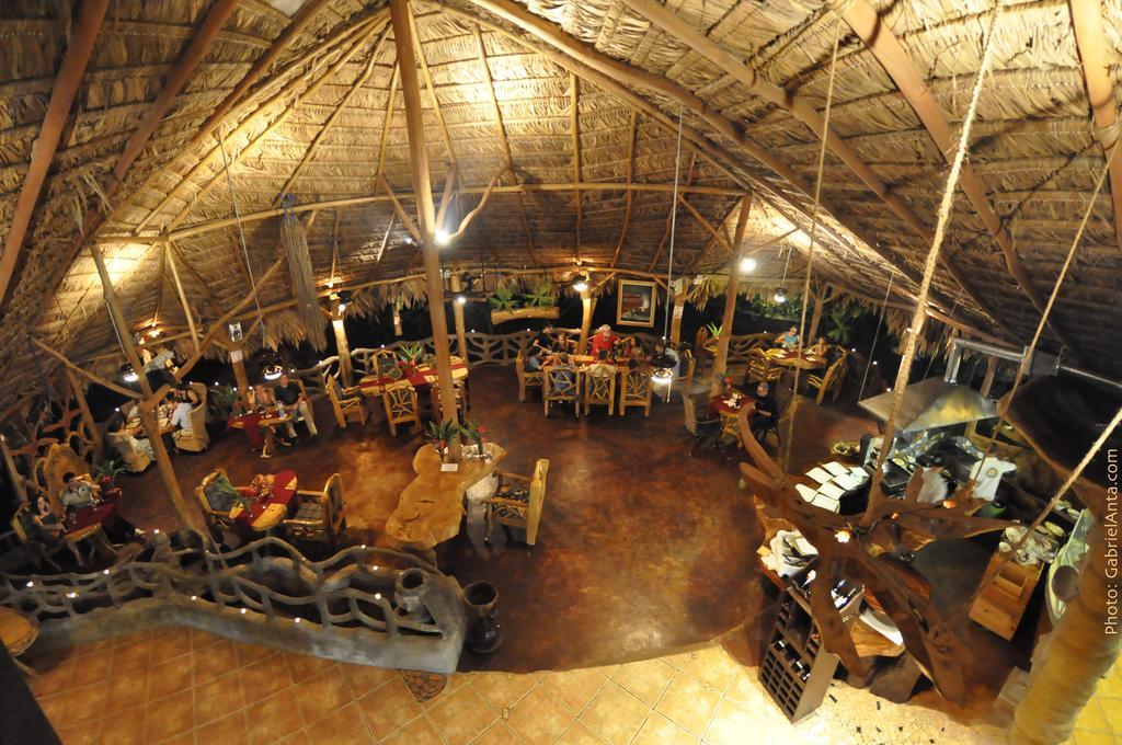 Hotel La Costa De Papito Puerto Viejo de Talamanca Exteriér fotografie