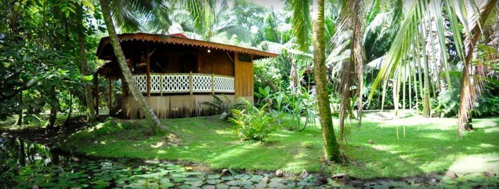 Hotel La Costa De Papito Puerto Viejo de Talamanca Exteriér fotografie